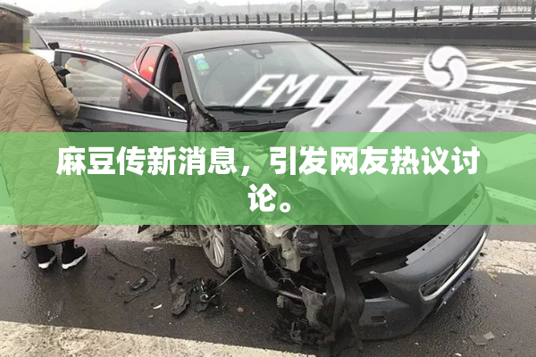 麻豆传新消息，引发网友热议讨论。