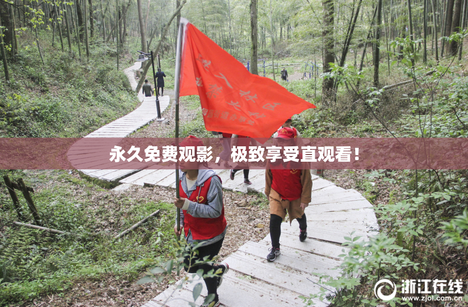 永久免费观影，极致享受直观看！