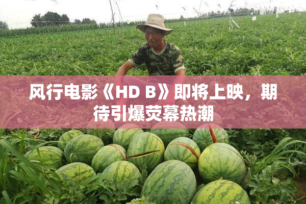 风行电影《HD B》即将上映，期待引爆荧幕热潮