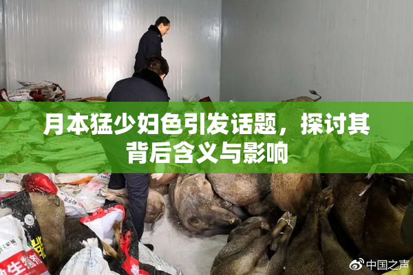 月本猛少妇色引发话题，探讨其背后含义与影响