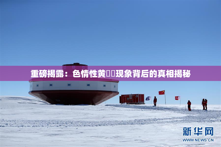 重磅揭露：色情性黄❌‌现象背后的真相揭秘