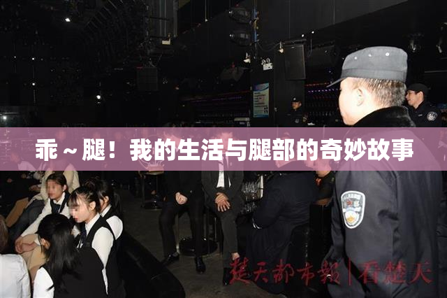 乖～腿！我的生活与腿部的奇妙故事