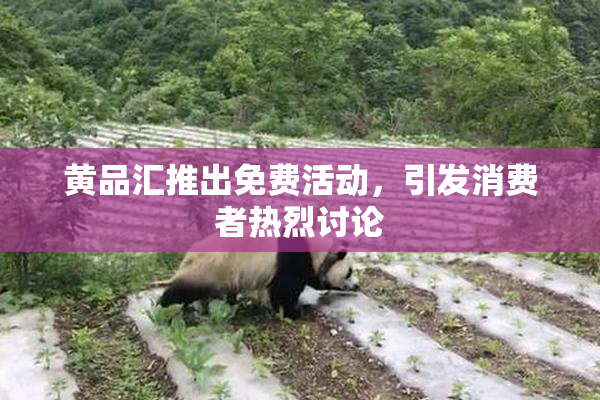 黄品汇推出免费活动，引发消费者热烈讨论