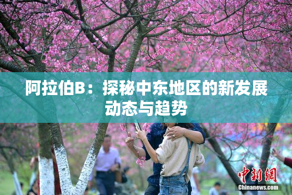 阿拉伯B：探秘中东地区的新发展动态与趋势