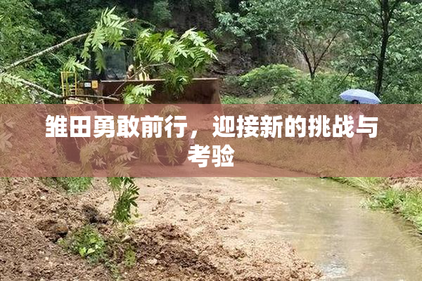 雏田勇敢前行，迎接新的挑战与考验