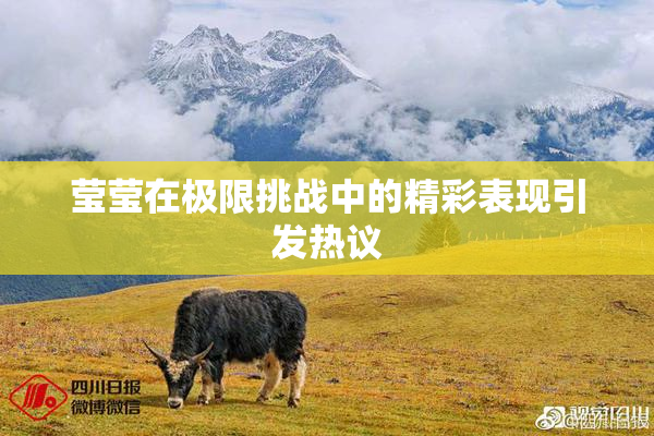 莹莹在极限挑战中的精彩表现引发热议