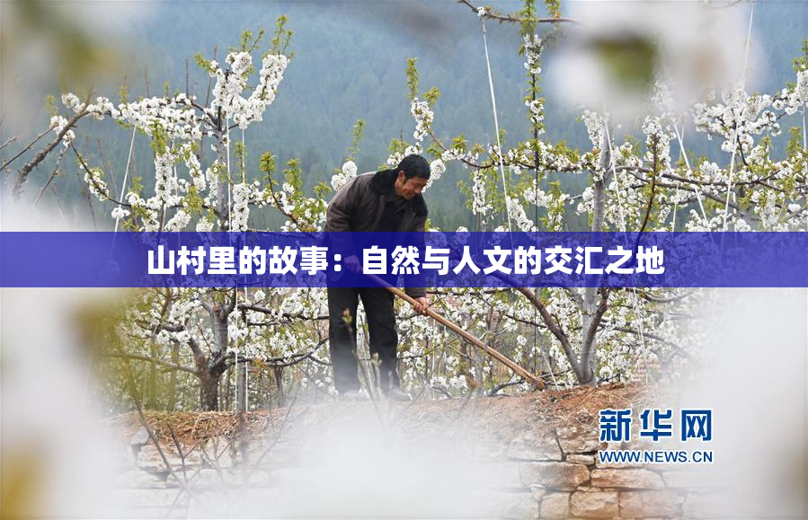 山村里的故事：自然与人文的交汇之地