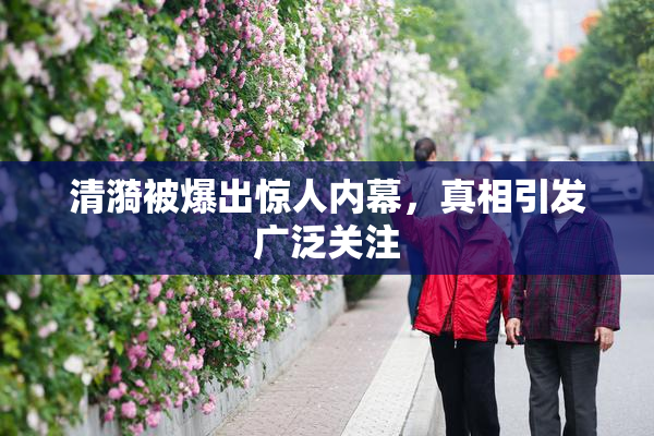 清漪被爆出惊人内幕，真相引发广泛关注