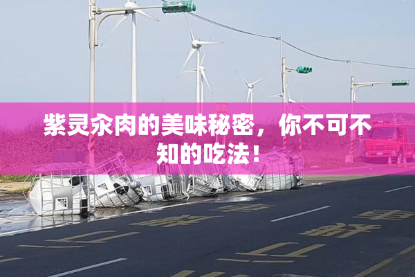 紫灵汆肉的美味秘密，你不可不知的吃法！