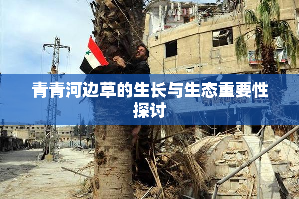 青青河边草的生长与生态重要性探讨