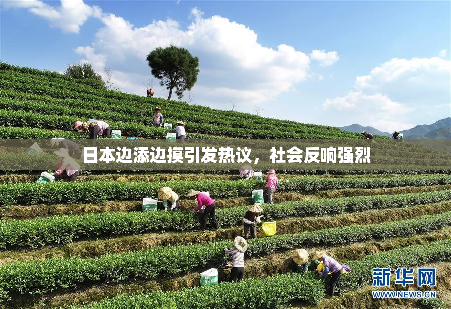 日本边添边摸引发热议，社会反响强烈