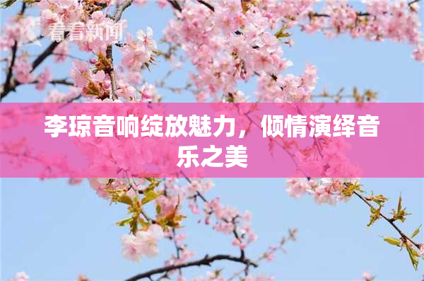李琼音响绽放魅力，倾情演绎音乐之美