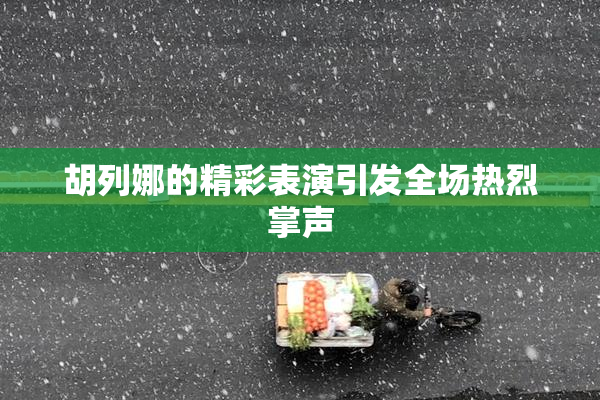 胡列娜的精彩表演引发全场热烈掌声
