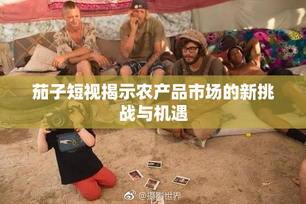 茄子短视揭示农产品市场的新挑战与机遇