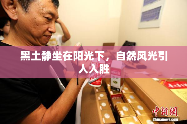 黑土静坐在阳光下，自然风光引人入胜