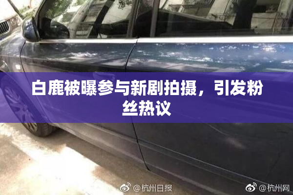 白鹿被曝参与新剧拍摄，引发粉丝热议
