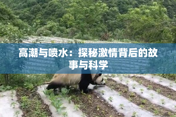 高潮与喷水：探秘激情背后的故事与科学
