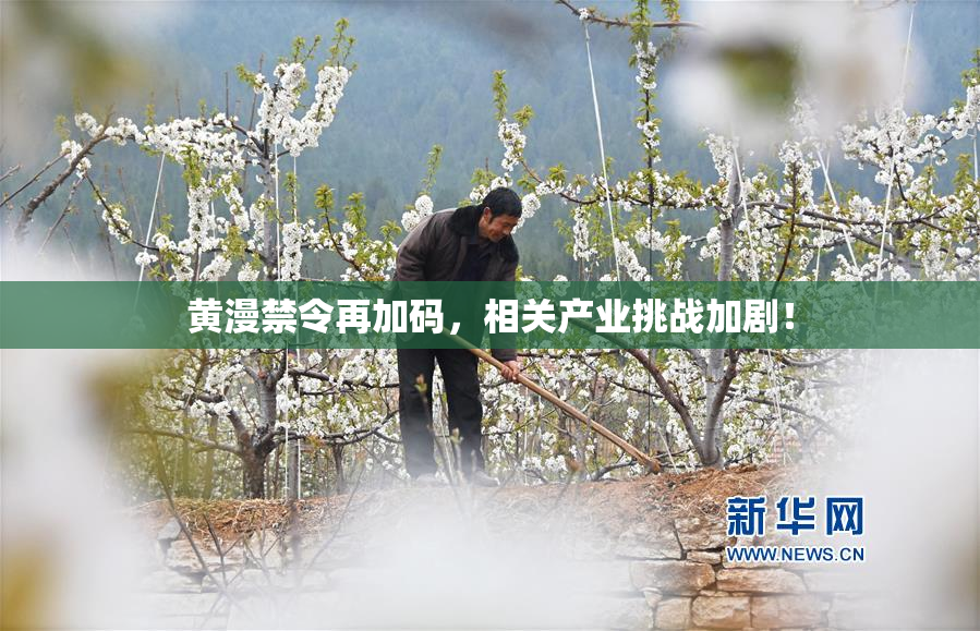 黄漫禁令再加码，相关产业挑战加剧！