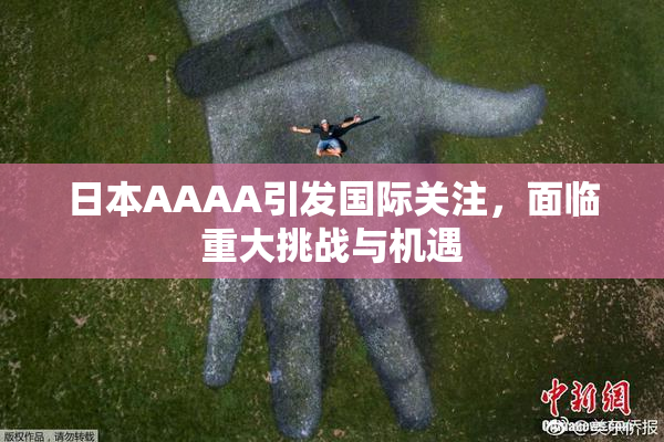 日本AAAA引发国际关注，面临重大挑战与机遇