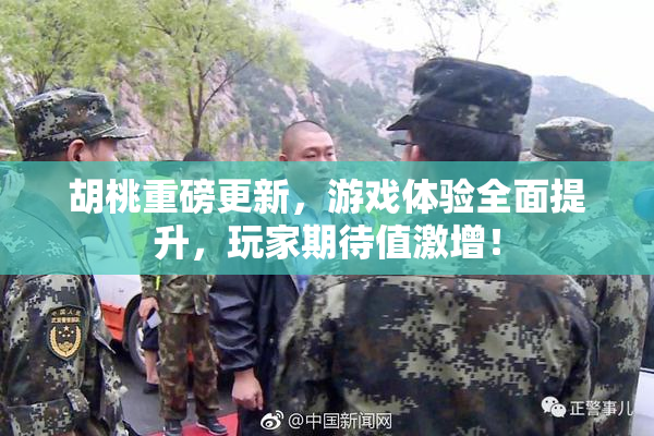 胡桃重磅更新，游戏体验全面提升，玩家期待值激增！