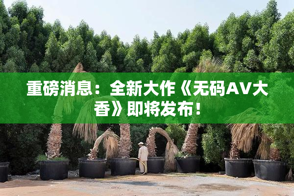 重磅消息：全新大作《无码AV大香》即将发布！