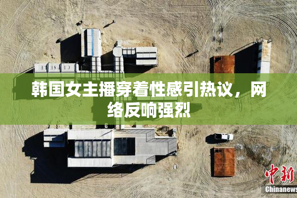 韩国女主播穿着性感引热议，网络反响强烈