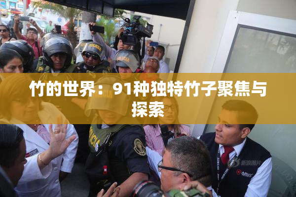 竹的世界：91种独特竹子聚焦与探索