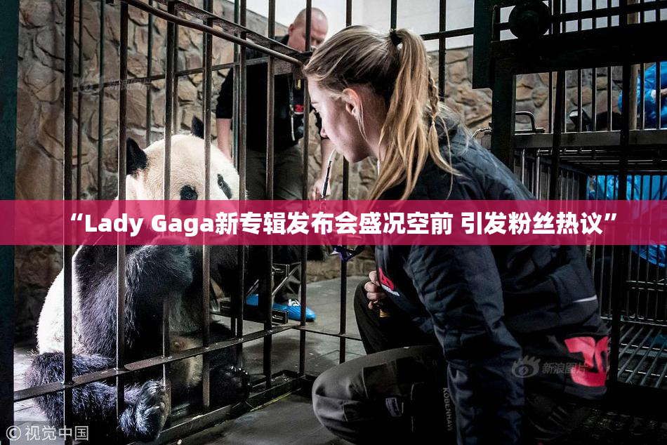 “Lady Gaga新专辑发布会盛况空前 引发粉丝热议”