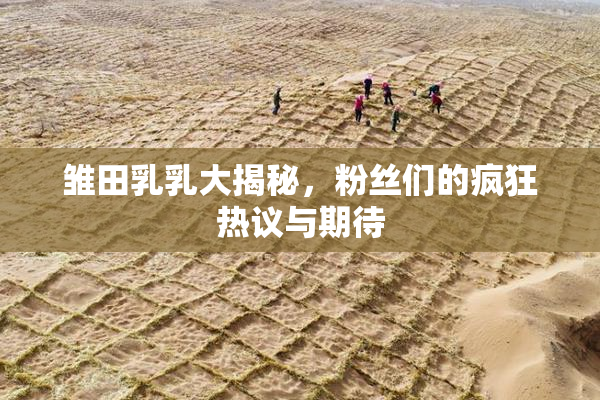 雏田乳乳大揭秘，粉丝们的疯狂热议与期待