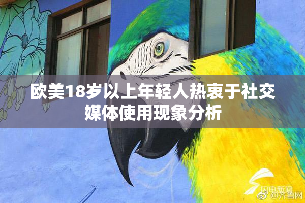 欧美18岁以上年轻人热衷于社交媒体使用现象分析