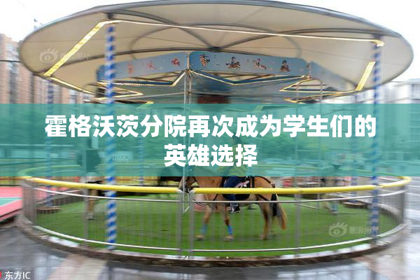 霍格沃茨分院再次成为学生们的英雄选择