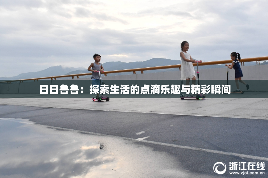 日日鲁鲁：探索生活的点滴乐趣与精彩瞬间
