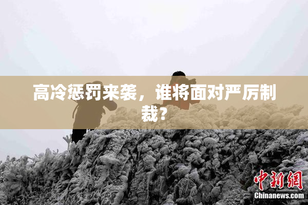 高冷惩罚来袭，谁将面对严厉制裁？