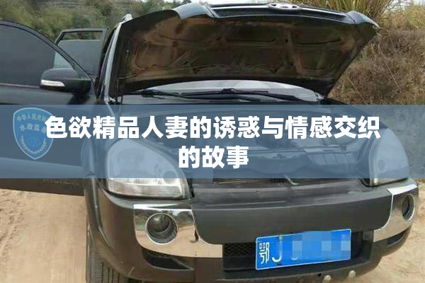 色欲精品人妻的诱惑与情感交织的故事
