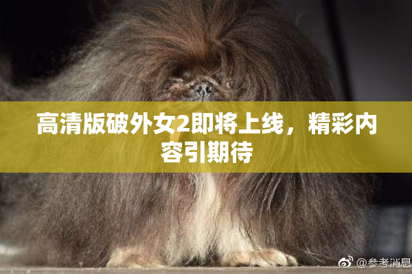 高清版破外女2即将上线，精彩内容引期待