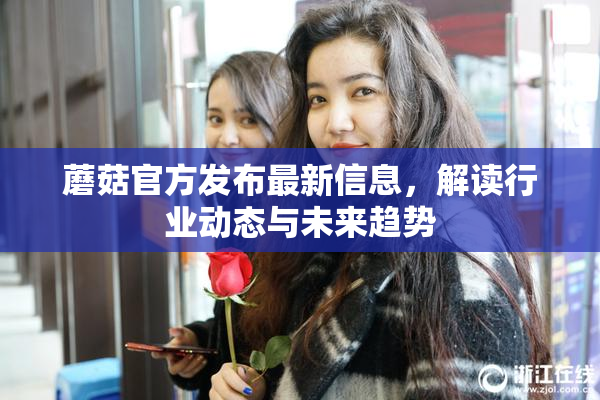 蘑菇官方发布最新信息，解读行业动态与未来趋势