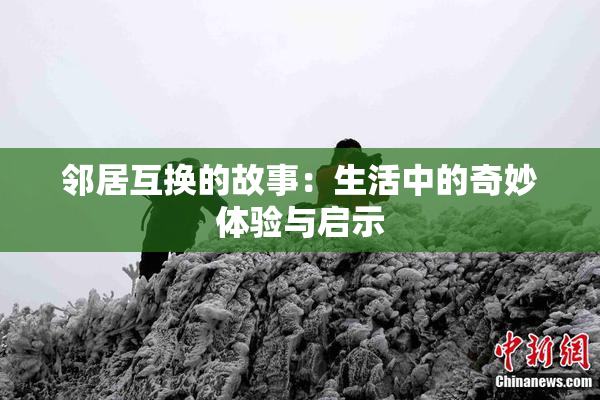邻居互换的故事：生活中的奇妙体验与启示