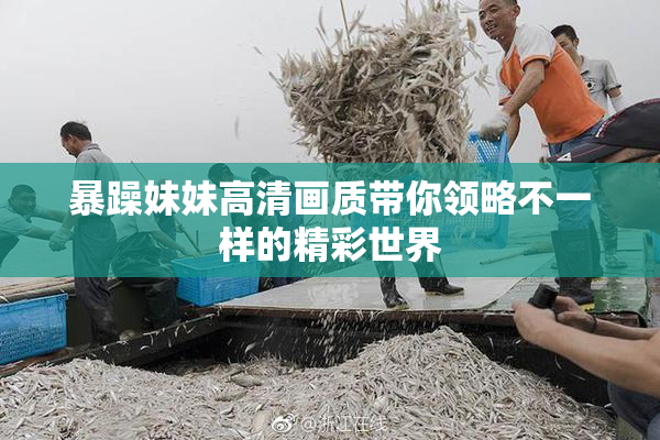 暴躁妹妹高清画质带你领略不一样的精彩世界
