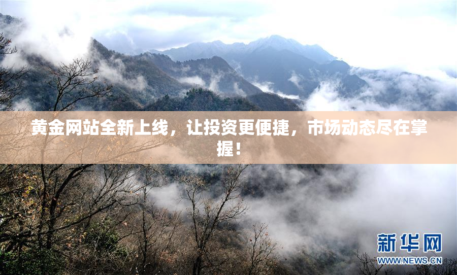 黄金网站全新上线，让投资更便捷，市场动态尽在掌握！