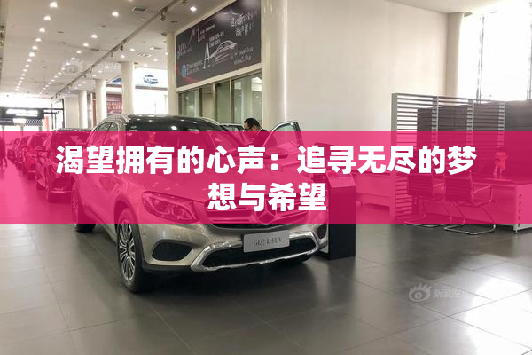 渴望拥有的心声：追寻无尽的梦想与希望