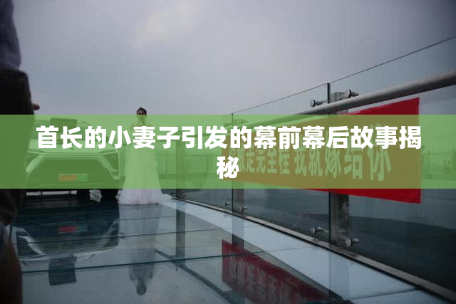 首长的小妻子引发的幕前幕后故事揭秘