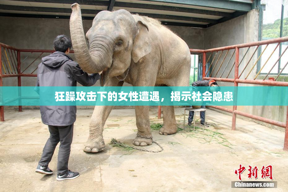 狂躁攻击下的女性遭遇，揭示社会隐患