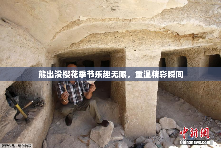 熊出没樱花季节乐趣无限，重温精彩瞬间