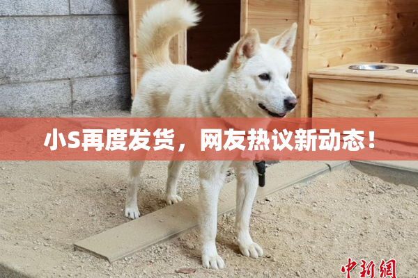 小S再度发货，网友热议新动态！