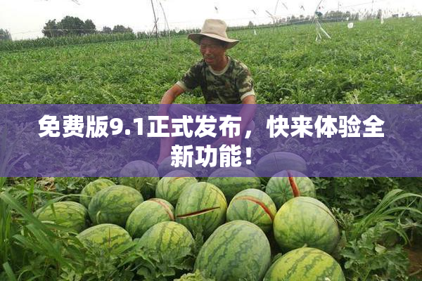 免费版9.1正式发布，快来体验全新功能！