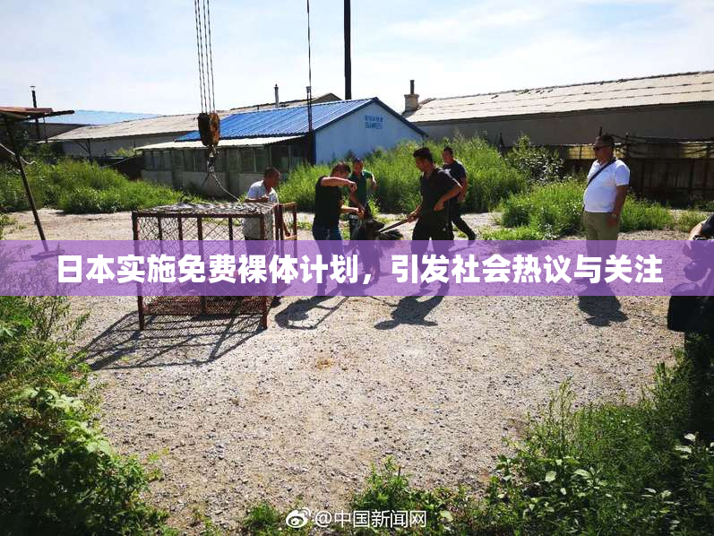 日本实施免费裸体计划，引发社会热议与关注