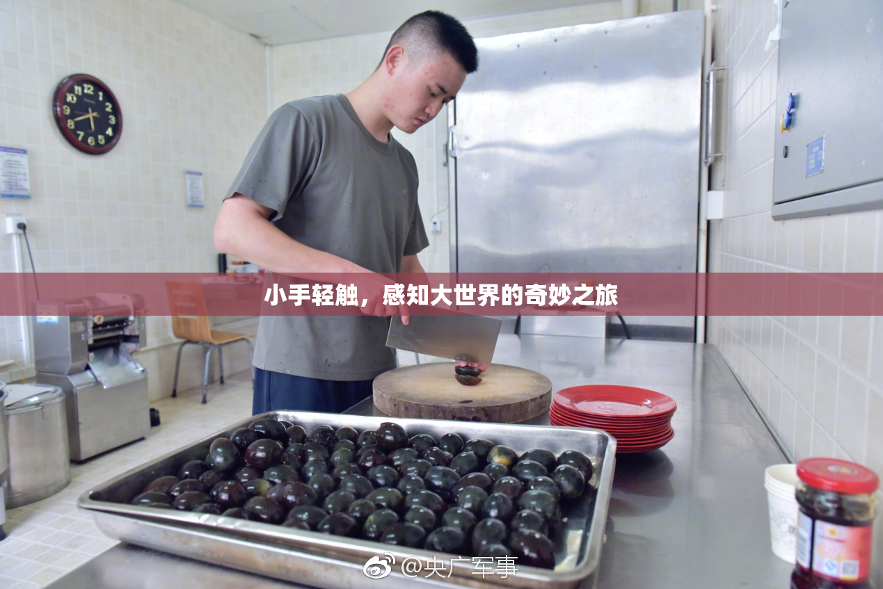 小手轻触，感知大世界的奇妙之旅