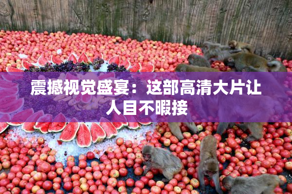 震撼视觉盛宴：这部高清大片让人目不暇接