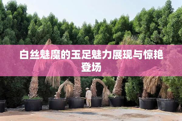 白丝魅魔的玉足魅力展现与惊艳登场