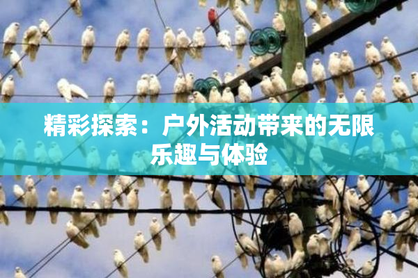 精彩探索：户外活动带来的无限乐趣与体验